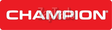 ������ �������� ����� Champion oil CHRONO 4T 10W60 ����������������� | ������� 8207112